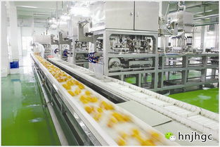 食品車間GMP工程設(shè)計(jì)的核心特點(diǎn)與專業(yè)設(shè)計(jì)服務(wù)價(jià)值